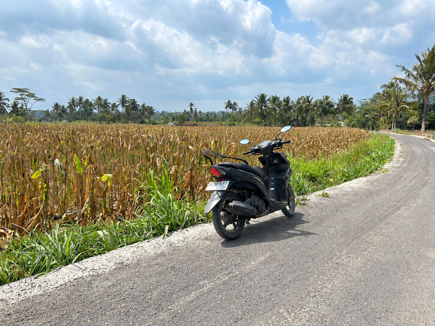 El camino a Isla Sigma
